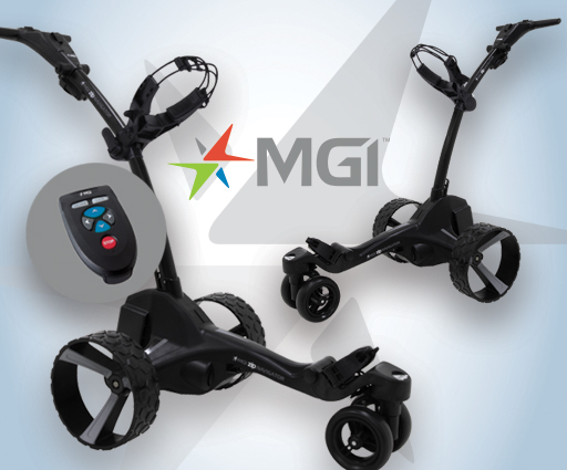 activity-mgi