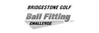 Bridgestone Ballfitting