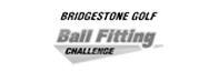 Bridgestone Ball Fitting
